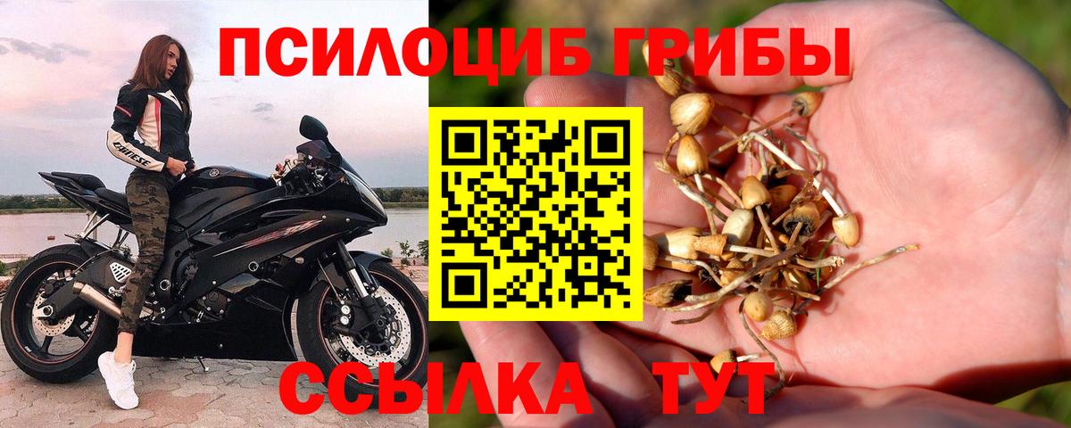 Галлюциногенные грибы Magic Shrooms Батайск