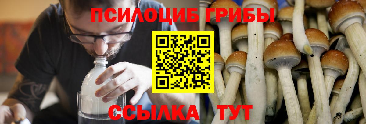 Батайск  Псилоцибиновые грибы Psilocybine cubensis  Галлюциногенные грибы MAGIC MUSHROOMS  Вход с VPN 